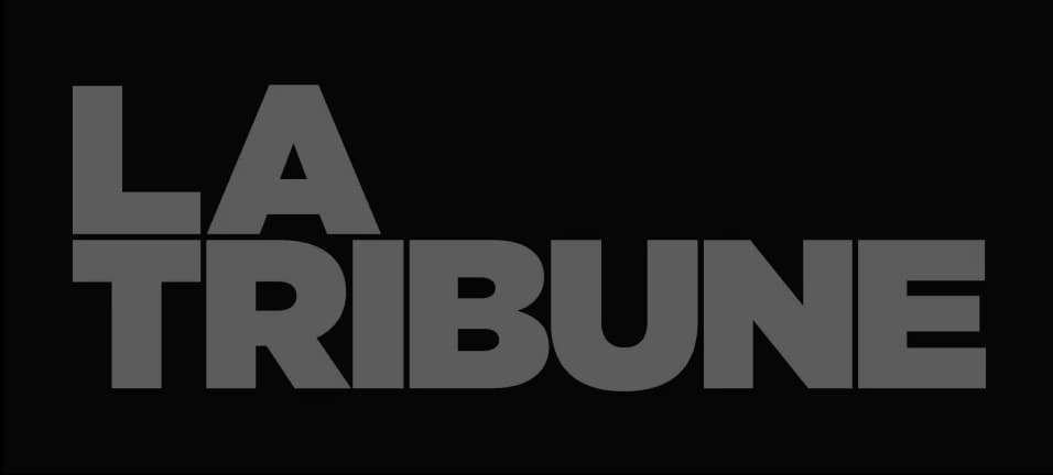 Logo newspaper grey