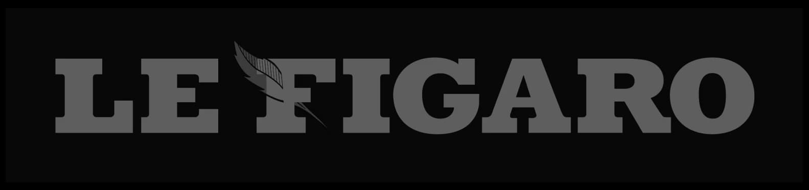 Logo newspaper grey