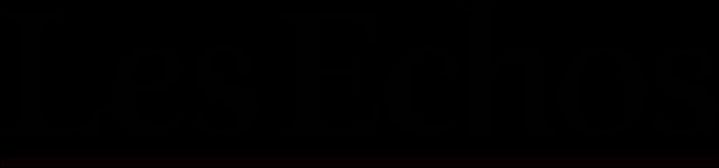 Logo newspaper grey