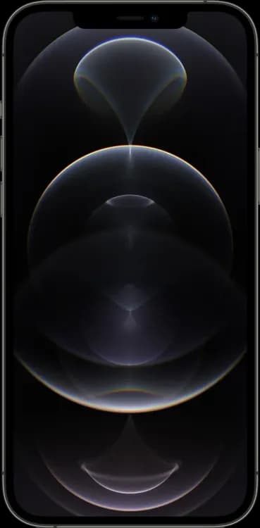 iphone-12-pro-max-graphite-front.webp
