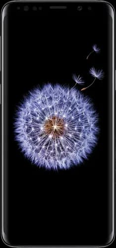 galaxy-s9-plus-midnight-black-front.webp